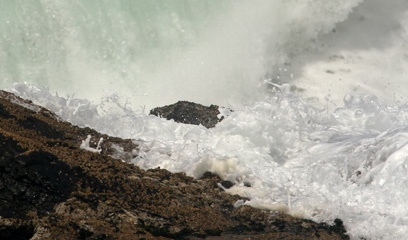 IMG_6997b.jpg
